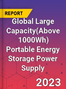 Global Large Capacity Portable Energy Storage Power Supply Industry