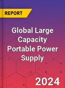 Global Large Capacity Portable Power Supply Industry