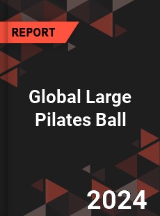 Global Large Pilates Ball Industry