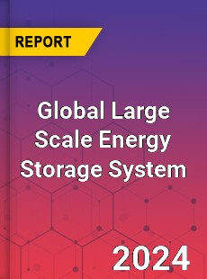 Global Large Scale Energy Storage System Industry