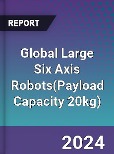 Global Large Six Axis Robots Industry