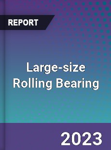 Global Large size Rolling Bearing Market