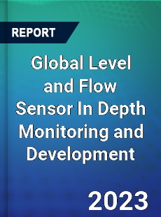 Global Level and Flow Sensor In Depth Monitoring and Development Analysis