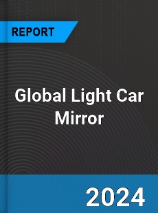 Global Light Car Mirror Industry