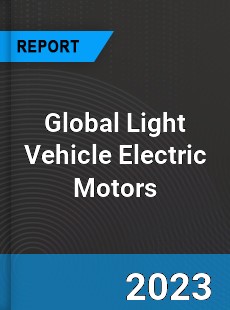Global Light Vehicle Electric Motors Market