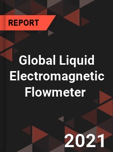 Global Liquid Electromagnetic Flowmeter Market