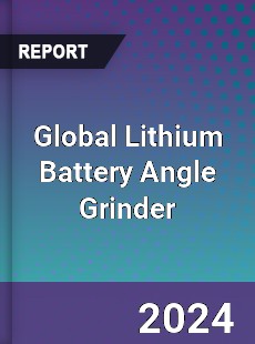 Global Lithium Battery Angle Grinder Industry