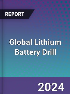 Global Lithium Battery Drill Industry