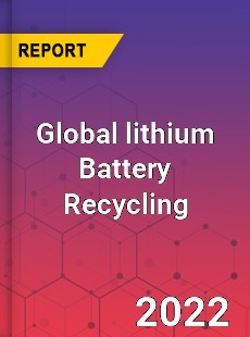 Global lithium Battery Recycling Market