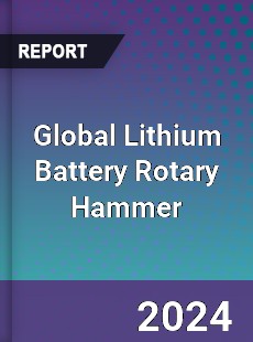 Global Lithium Battery Rotary Hammer Industry