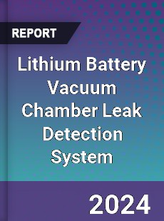 Global Lithium Battery Vacuum Chamber Leak Detection System Supply