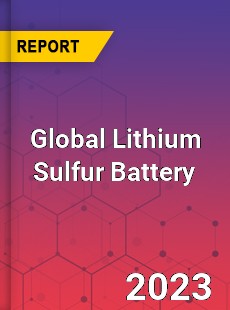 Global Lithium Sulfur Battery Industry