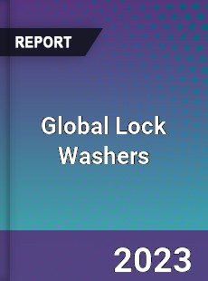 Global Lock Washers Market