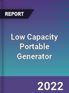 Global Low Capacity Portable Generator Industry