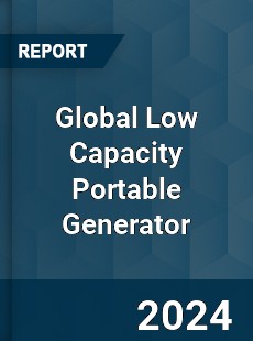 Global Low Capacity Portable Generator Market