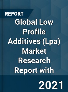 Global Low Profile Additives Market Research Report with