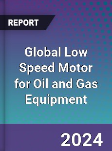 Global Low Speed Motor for Oil and Gas Equipment Outlook