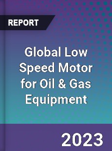 Global Low Speed Motor for Oil amp Gas Equipment Market