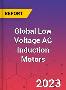 Global Low Voltage AC Induction Motors Industry