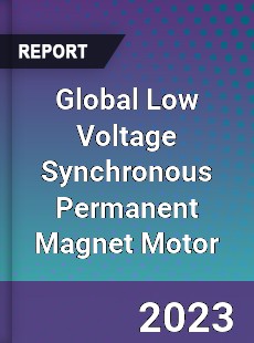 Global Low Voltage Synchronous Permanent Magnet Motor Industry