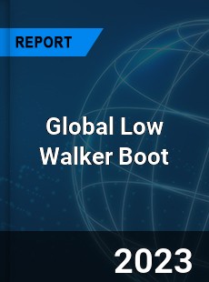 Global Low Walker Boot Industry