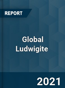 Global Ludwigite Market