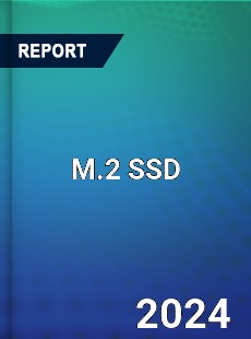 Global M 2 SSD Outlook