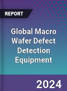 Global Macro Wafer Defect Detection Equipment Industry