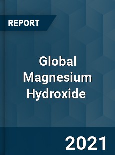 Global Magnesium Hydroxide Market