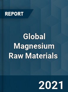 Global Magnesium Raw Materials Market