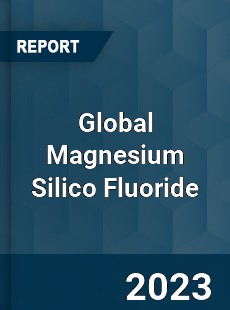 Global Magnesium Silico Fluoride Market