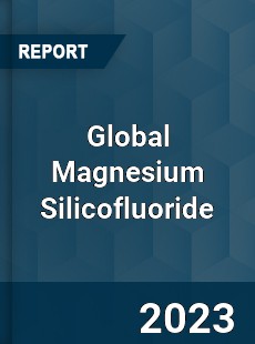 Global Magnesium Silicofluoride Market