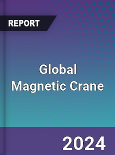 Global Magnetic Crane Industry