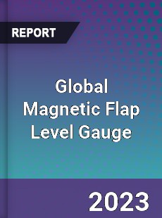 Global Magnetic Flap Level Gauge Industry