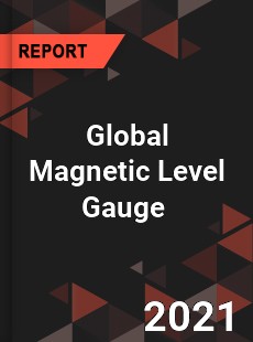 Global Magnetic Level Gauge Market