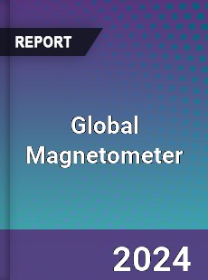 Global Magnetometer Market