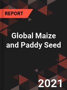 Global Maize and Paddy Seed Market