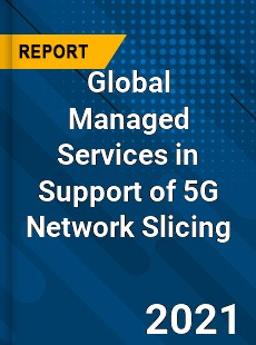 Global Managed Services in Support of 5G Network Slicing Market