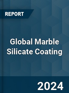 Global Marble Silicate Coating Industry