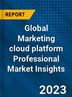 Global Marketing cloud platform Professional Market Insights