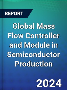 Global Mass Flow Controller and Module in Semiconductor Production Industry