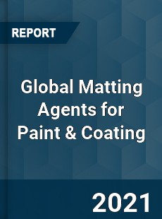 Global Matting Agents for Paint amp Coating Market