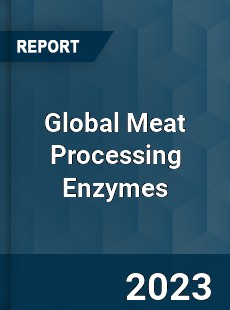 Global Meat Processing Enzymes Industry