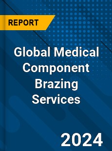 Global Medical Component Brazing Services Industry