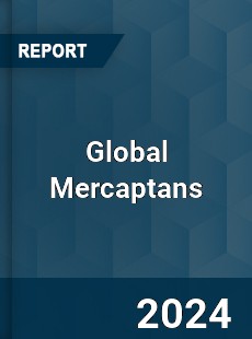 Global Mercaptans Industry