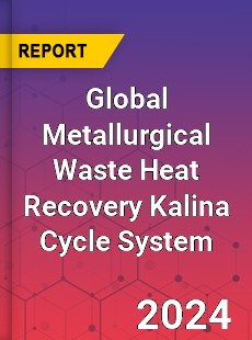 Global Metallurgical Waste Heat Recovery Kalina Cycle System Industry