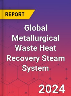 Global Metallurgical Waste Heat Recovery Steam System Industry