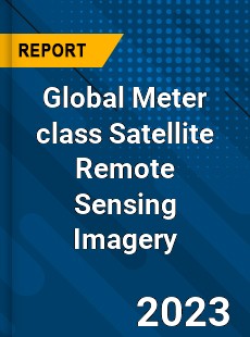 Global Meter class Satellite Remote Sensing Imagery Industry