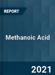 Global Methanoic Acid Professional Survey Report