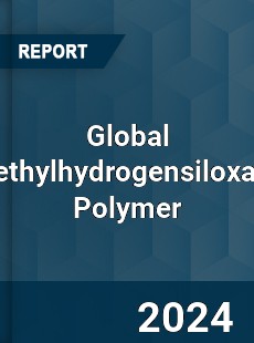 Global Methylhydrogensiloxane Polymer Industry